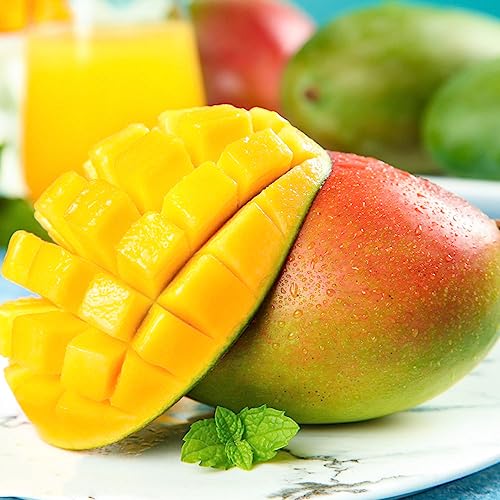 12 piezas semillas de mango para sembrar - frutas exóticas plantas de maceta resistentes al aire libre árbol de mango,Mangifera indica enrejado fruta balcón plantas hardy invernadero