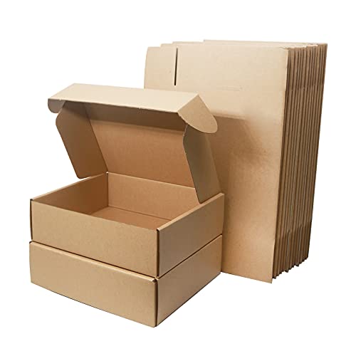 15 Piezas Cajas de Cartón Corrugado, 250x200x70mm Cajas de Paquetes Pequeños, Cajas de Embalaje para Negocios, Correos, Almacenamiento o Regalo