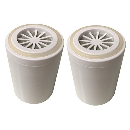 2 x ducha KDF cartuchos de filtro de agua para blanco y filtros de ducha