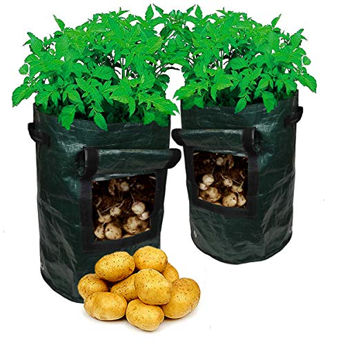 7DOO 2 Bolsas para Plantas 45L, Bolsas para Plantar Patatas Tomates Fresas Calabacín Verduras Maceta para Sembrar Plántulas, Bolsa de Cultivo para su Balcón Terraza Jardinera de Hortalizas, Tela PE