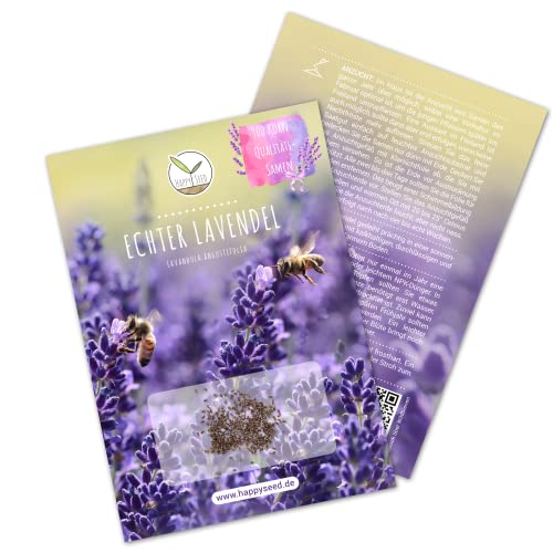 900x semillas de lavanda con alta tasa de germinación - Planta medicinal versátil e ideal para abejas y mariposas (incl. Libro electrónico GRATUITO)