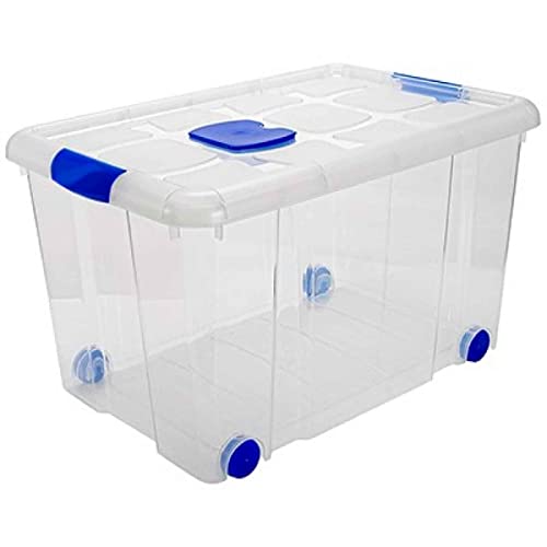 Acan Tradineur - Caja de Almacenamiento - Fabricado en plástico - Contenedor para almacenar juguetes, Libros, ropa, mantas - N.º 4-35,7 x 59 x 40,5 cm - 55 Litros