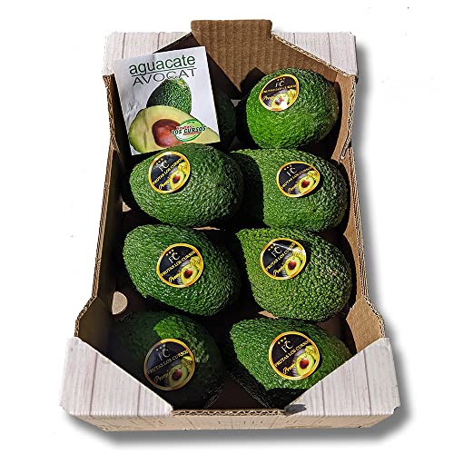 Aguacate Hass Pack 2 kg - Origen España. Compra Aguacates Hass seleccionados uno por uno para ti. Aguacates frescos.