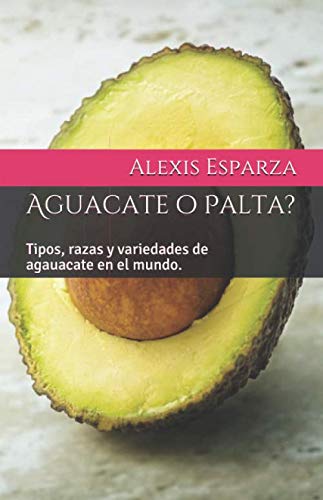 ¿Aguacate o Palta?: Principales tipos de Aguacate en el Mundo.