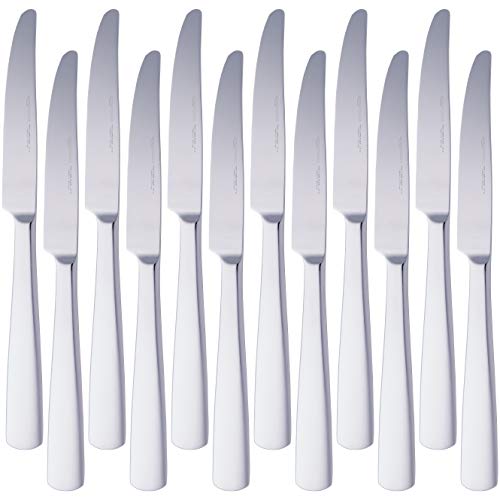Amazon Basics Cuchillos de mesa de acero inoxidable con borde cuadrado, 12 Unidad, Plateado
