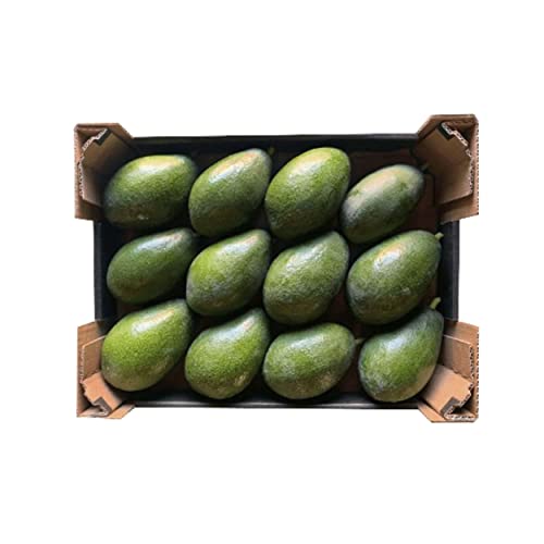 BEMA TROPIK Aguacate BIO Variedad Bacon Cultivado de Forma Sostenible Sello Ecológico Presentación Caja 4 Kg