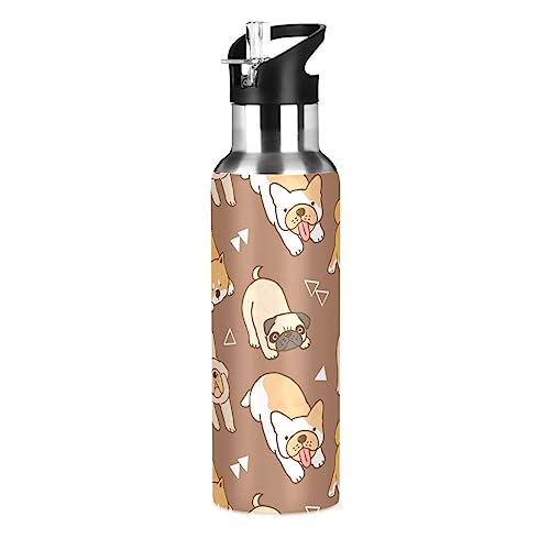 Botella de agua para perros Shiba Inu con tapa de pajita, aislada, de acero inoxidable, para niños y niñas, gimnasio, deportes, a prueba de fugas, 600 ml