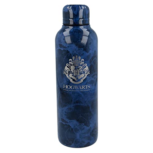 Botella de agua reutilizable térmica de acero inoxidable con doble aislamiento de 515 ml de Harry Potter