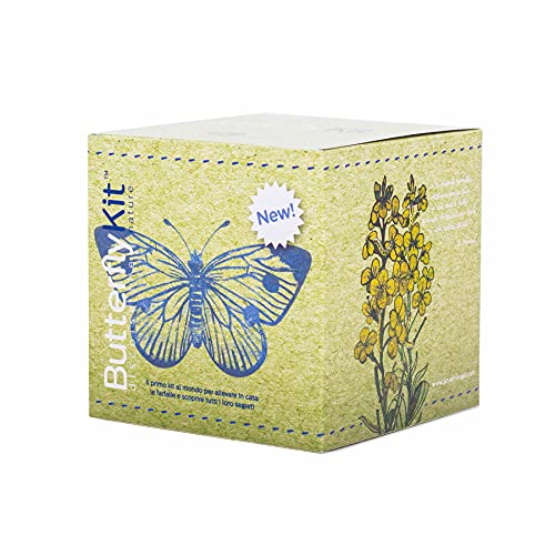 ButterflyKit - El kit para criar mariposas de la col en casa - Experimento educativo, kits educativos científicos para niños, ideas de regalos para pequeños, cumpleaños, ideas de regalos para niñas