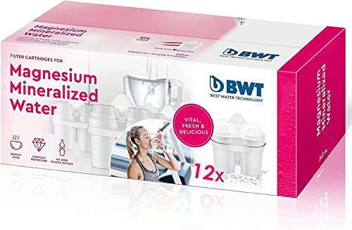 BWT - Pack 12 Filtros con magnesio - Mejora el sistema inmunológico, reduce la cal, el cloro, las impurezas del agua y mejora el sabor - Pack para un año