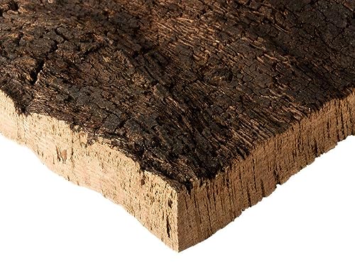 Corcho corteza | placa, trozos de corcho natural de la madera de corcho | 30x40x3 cm | sin tratar y natural | mercancía de la corteza de corcho |desinfectada térmicamente