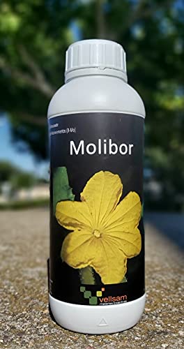 Corrector de carencia de Boro y molibdeno. Abono fertilizante rico en boro y molibdeno quelatado soluble en agua 1L. Molibore