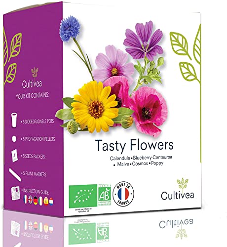 CULTIVEA® Mini Kit Huerto de Flores Comestibles – 100% Semillas Bio - Jardina, Decora y Degusta - Idea de Regalo (Calendula, Amapola, Malva, Cosmos, Poppy)