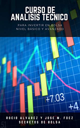 Curso de Análisis Técnico para invertir en Bolsa: Nivel básico y avanzado (Cursos de Secretos de Bolsa nº 1)