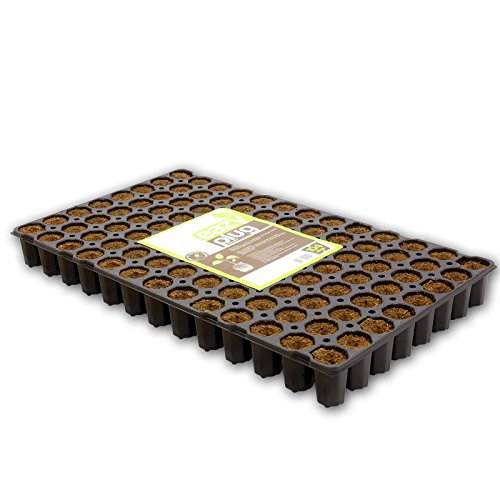 Eazy Plug set de cultivo 104 piezas grandes - turba hinchable macetas de cultivo tierra de siembra pastillas de turba hinchable