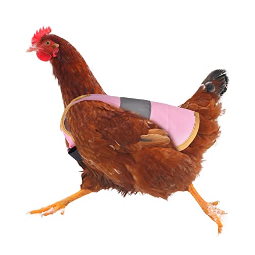 Facynde Delantal de pollo para pollos, delantal para pollo con banda única, accesorio para el cuidado de aves de corral de tamaño estándar