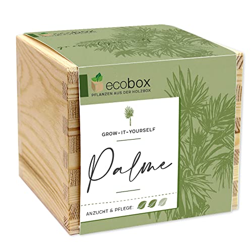 Feel Green ecobox, Palmera, Plantas de la Caja de Madera, 11 x 11 x 10 cm, Fabricado en Austria, Idea de Regalo sostenible, Grow Your Own/Set de Cultivo