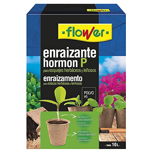 Flower - Enraizante Sólido HORMON P | Favorece Enraizamiento | Regulador de Crecimiento | Aplicable a Esquejes Herbáceos y Leñosos | Formato en Polvo, Color Único