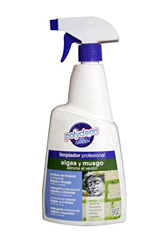 Flower - Limpiador Algas y Musgo Profesional 750ml | Elimina Verdín | Ideal para Muros, Caminos, Esculturas, Fuentes y Macetas, No aplica en color, Tamaño 13x5x27.5 cm, Material Plástico