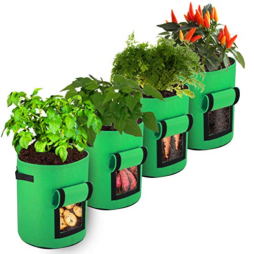 FYTENG Bolsas de Cultivo Patatas, 4pcs 10 Galones Bolsa No Tejida，Macetero Bolsa Planta Es Adecuado para Papas, Tomates, Zanahorias, Bolsas para Plantar Batatas (Verde Hierba)
