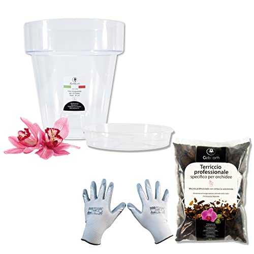 GebEarth - Kit de trasplante de orquídeas: Maceta Transparente para orquídeas, 4 Agujeros de Drenaje y platillo + Tierra específica para orquídeas 1L, Guantes de jardinería (14cm)