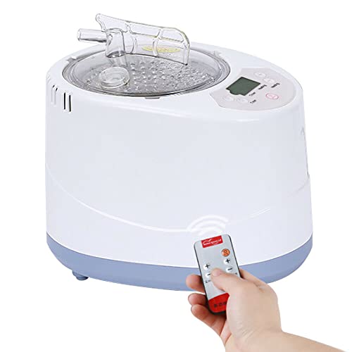 Generador de vapor, mini sauna de vapor con temporizador, para casa, cabina de calor, 3 l, 1 kW