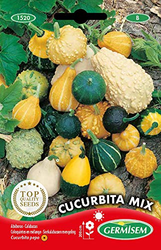 Germisem Cucurbita Mix Semillas de Calabaza 2 g