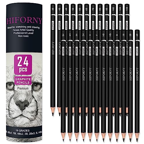 HIFORNY Juego de 24 lápices de grafito, lápices de grafito (14B - 5H), lápices de dibujo, lápices de dibujo, lápices de arte con 19 grados, ideal para principiantes y artistas