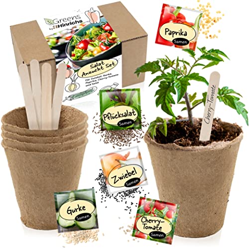 Hinrichs Greens Kit de Cultivo de Ensalada – Semillas Huerto - 5 Variedades de Hortalizas - Semillas de Cebolla Semillas de Pimiento Semillas de Lechuga - Set de Semillas - Verdura Semilla