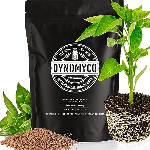 Inoculante de micorrizas DYNOMYCO® – Cepas de alto rendimiento – Fórmula concentrada – Mejora la absorción de nutrientes – Aumenta el rendimiento de las plantas (100 g/Up to 20 Plants)
