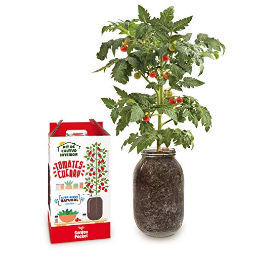Kit Cultivo Interior Tomate Cherry con AUTORIEGO NATURAL -Garden Pocket
