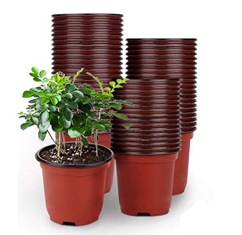 LATERN 50Pcs 15cm Macetas de Plástico para Plantas Macetas de Inicio de Semillas Livianas Macetas de Vivero Macetas Contenedor de Plantas de Flores(15 x 13 cm)