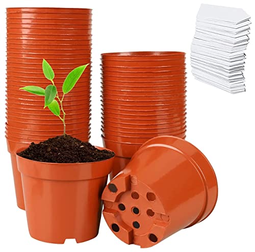 LATERN 60 Piezas Macetas de Plástico, 7,5CM Macetas de Vivero Contenedor de Flores Pequeño Macetas de Plántulas con Orificios de Drenaje para Trasplante de Plántulas - con 100 Plantas Etiquetas