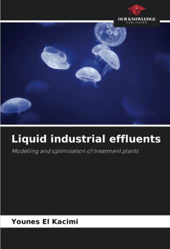 Liquid industrial effluents: Modelling and optimisation of treatment plants