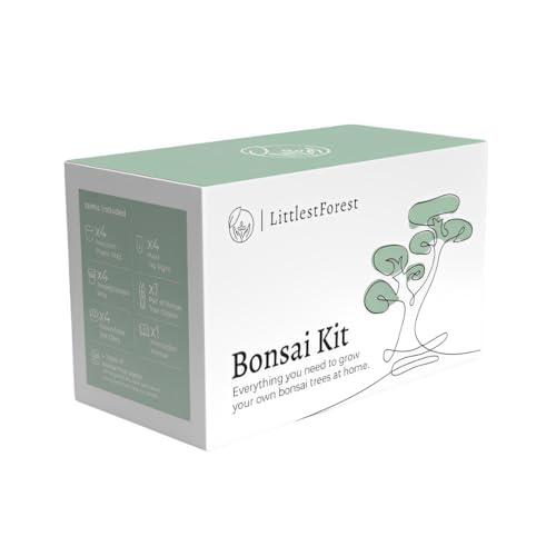 LittlestForest - Kit Bonsai para Principantes - Todo lo que necesitas para cultivar tus propias plantas bonsais naturales interior y exterior. - Semillas y herramientas bonsai