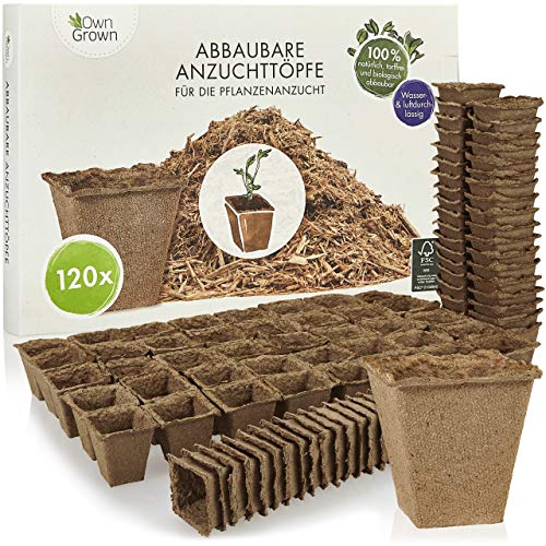 Macetas de Cultivo biodegradables cuadradas: Kit de 120 macetas de Flores y Plantas de Fibra de Madera biodegradables para jardín, invernaderos o huertos
