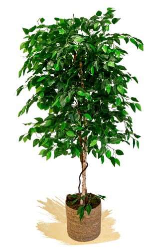 Maia Shop Ficus Artificial con Troncos Naturales, Ideal para Decoración de hogar, Árbol Artificial, Planta Artificial (150 cm)