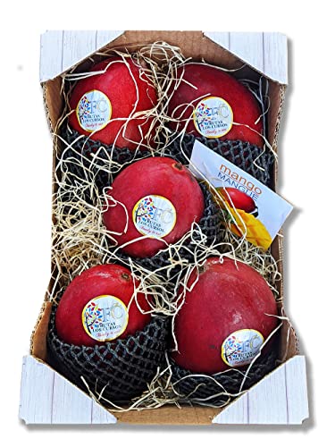 Mango fruta Pack 2 kg - Mangos Palmer importación - Compra mangos variedad Palmer