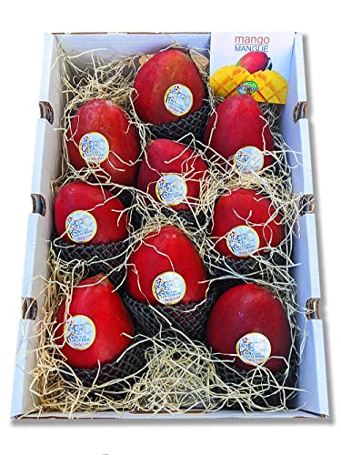 Mango fruta Pack 4 kg - Mangos Palmer importación - Compra mangos variedad Palmer
