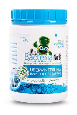 Mr. Bacteria No. 8 Limpiador y Tratamiento de Agua Verde para estanques de jardín, Limpia y Evita la Creación de Residuos Orgánicos en Estanques, Cuidado del Agua en Estanques Invierno 500g (1)