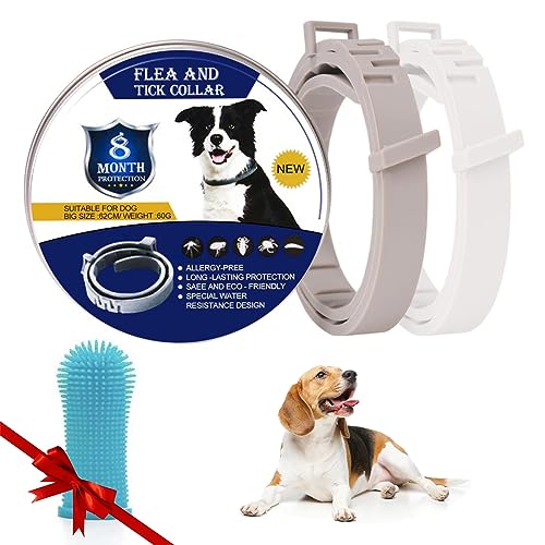 NAIKIR - Pack 2 Collar Antiparasitario Perros + Cepillo Dientes Perro - Collares para Perros Gris y Blanco - Collar Antipulgas Perros 8 Meses de Protección