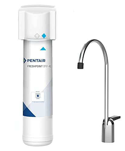 PENTAIR F1000-DFB - Filtro de agua potable - Reduce la arena, sedimentos finos, sabor y olor a cloro - 10 micras – 2 839 L o 12 meses
