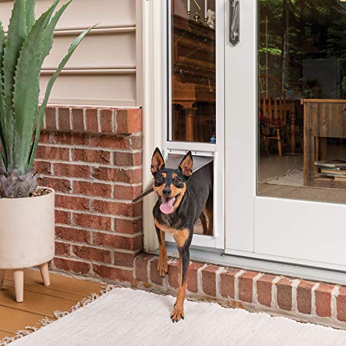 PetSafe Inserto de Puerta corrediza de Cristal para Gatos y Perros, Ideal para alquileres y Apartamentos, instalación sin Cortes de Bricolaje, tamaño Mediano