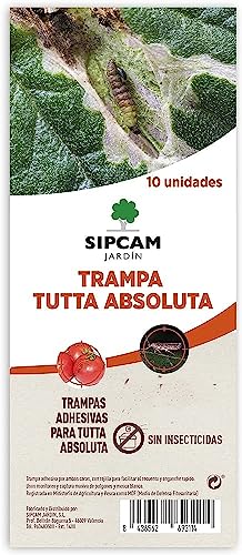 Peyca 10 trampas Adhesivas para la Tuta Absoluta, sin insecticida, para el Control de Las Principales plagas del Tomate y Otros Cultivos