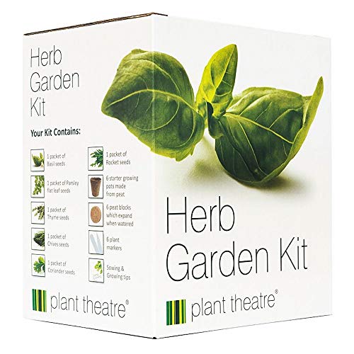 Plant Theatre Herb Garden Kit - Cultive 6 variedades de hierbas con semillas, macetas de inicio, marcadores de plantación y discos de turba - Regalos de jardinería para mujeres y hombres