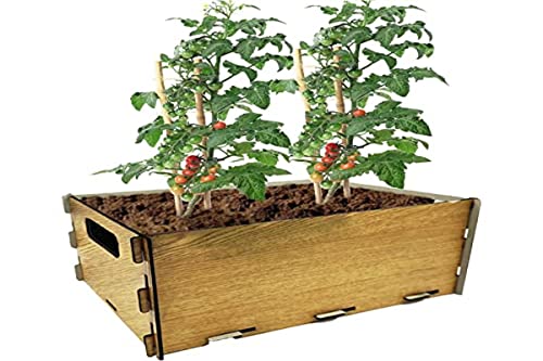 PLANTAWA Kit de Siembra para Tomates, Kit de Cultivo para Huerto Urbano, Jardinera Interior para Casa, Kit Cultivo de Plantas Naturales Tomates Frescos