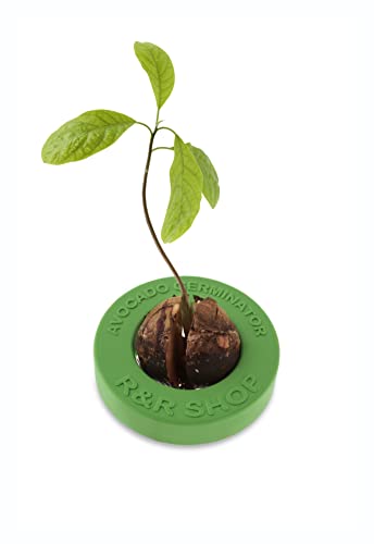 R&R SHOP Avocado Germinator - Maceta Flotante para germinación de Aguacate, Kit de Cultivo de Semillas, plástico de maíz 100% reciclable y compostable (Verde)