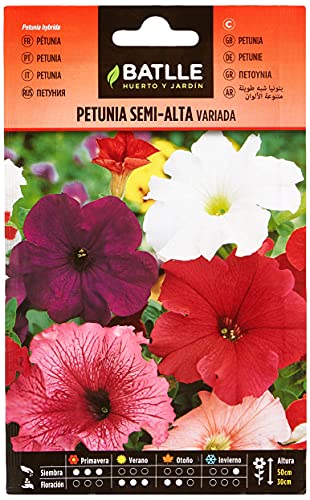 Semillas Batlle Petunia SEMI-ALTA variada