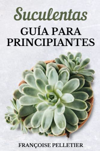 Suculentas guía para principiantes: Guía para el cuidado de suculentas y cactus