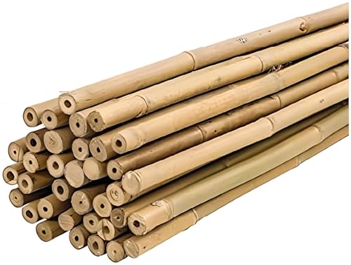 Tutores de Bambú PLANTAWA, Tutores de bambú Ø 6-8 mm, Paquete 25 Unidades, Uso Agrícola para Sujetar Plantas, Hortalizas y Árboles Huerto Urbano (60 cm)